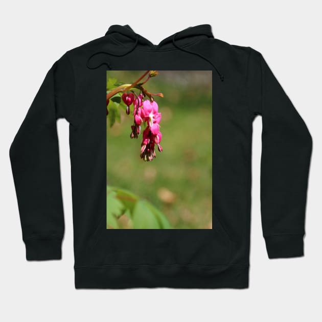 Bleeding hearts Hoodie by ikshvaku